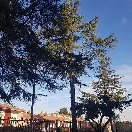 B&B La Pineta Quasani Bagian luar foto