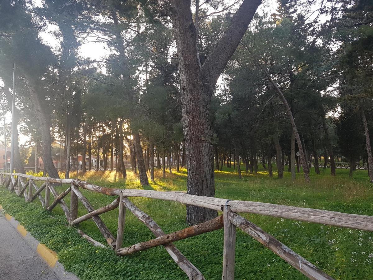 B&B La Pineta Quasani Bagian luar foto
